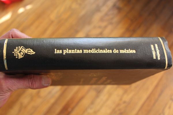 Ethnobotany Las Plantas Medicinales de Mexico Martinez RARE An Excellent Work On Medicine Plants!
