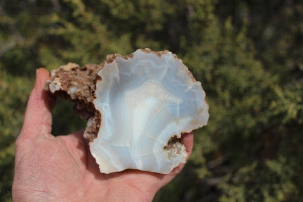 Fund Raiser - BEAUTIFUL - MINERAL - LUNA AGATE - Catron County, New Mexico -