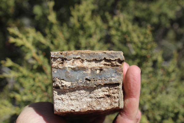 Fund Raiser - BEAUTIFUL - MINERAL - LUNA AGATE - Catron County, New Mexico -