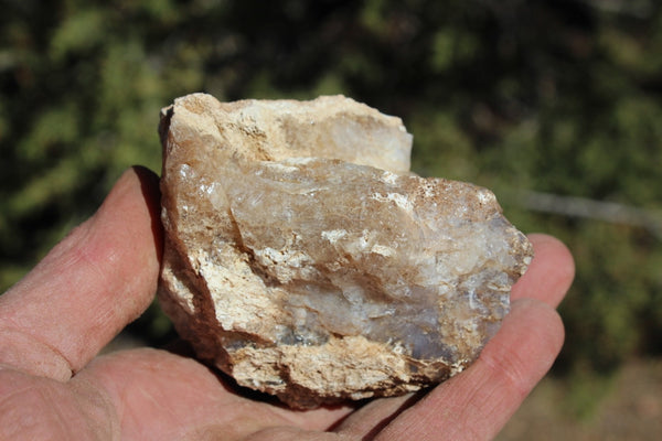Fund Raiser - MINERAL - BEAUTIFUL - Rare Locality - ARIZONA OPAL - Stunning Specimen #7