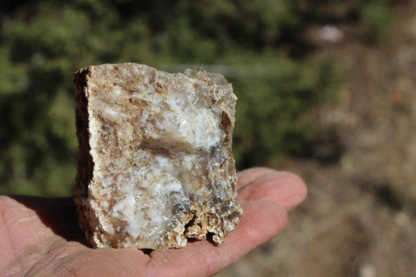 Fund Raiser - MINERAL - BEAUTIFUL - Rare Locality - ARIZONA OPAL - Stunning Specimen #8 - Keep A Piece Of Opal Near Your Bed and Experience Amazing Dreams and Healing!