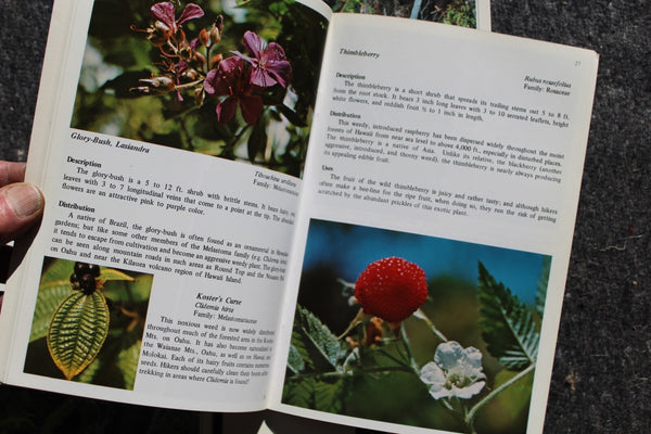 Ethnobotany Herbal Medicine Nature Health - 4 Book Lot For One Great Price #11