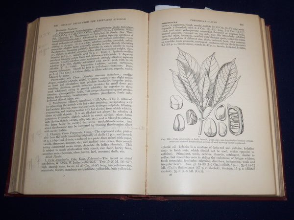 1917 MATERIA MEDICA AND PHARMACOLOGY BOOK MANUAL 6TH EDN - CULBRETH   Hardcover - EXCELLENT REFERENCE