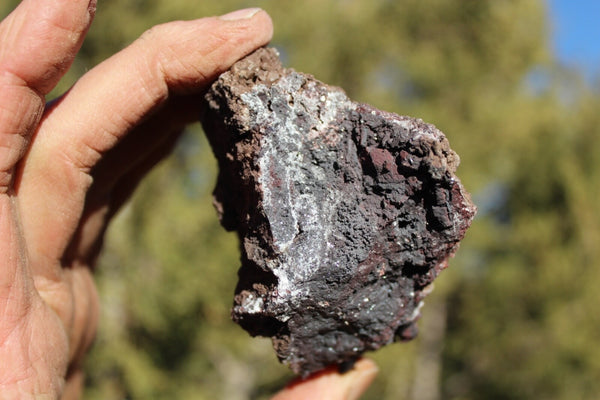 ROCK CLUB MEMBERSHIP -- Every 3 Months Receive a Shipment  of Unique Specimens! SUPERB PIECES - Fossils, Agates, Azurite, Opal, Silver Ore, and MUCH MORE