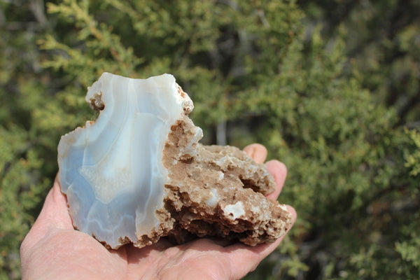 Fund Raiser - BEAUTIFUL - MINERAL - LUNA AGATE - Catron County, New Mexico -