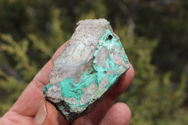 Fund Raiser - MINERAL Lovely MALACHITE Specimen From Santa Rita Mine, New Mexico