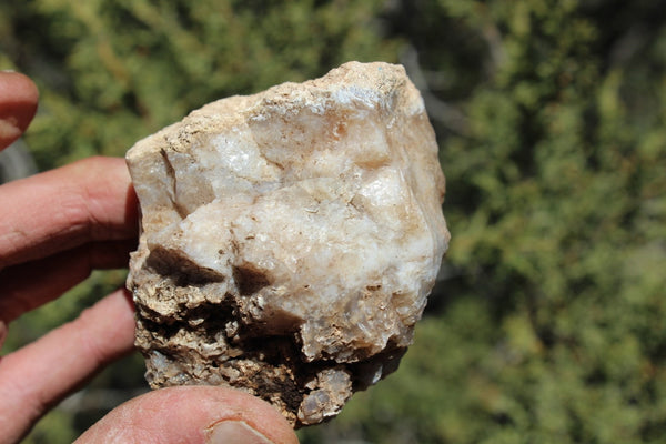 Fund Raiser - MINERAL - BEAUTIFUL - Rare Locality - ARIZONA OPAL - Stunning Specimen #7