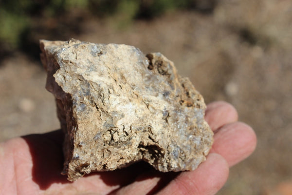 Fund Raiser - MINERAL - BEAUTIFUL - Rare Locality - ARIZONA OPAL - Stunning Specimen #8 - Keep A Piece Of Opal Near Your Bed and Experience Amazing Dreams and Healing!