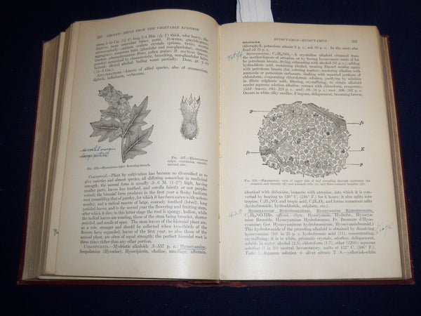 1917 MATERIA MEDICA AND PHARMACOLOGY BOOK MANUAL 6TH EDN - CULBRETH   Hardcover - EXCELLENT REFERENCE