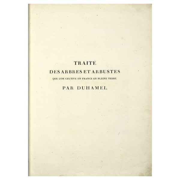Rare 1801 REDOUTÉ Large Folio Engraving from Duhamel du Monceau, GARDENIA