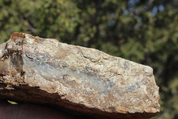Fund Raiser - BEAUTIFUL - MINERAL - LUNA AGATE - Catron County, New Mexico -