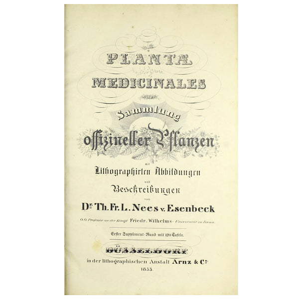 1828 Nees Esenbeck Big Hand-Colored Botanical Folio, PIPER CUBEBA (Pepper)