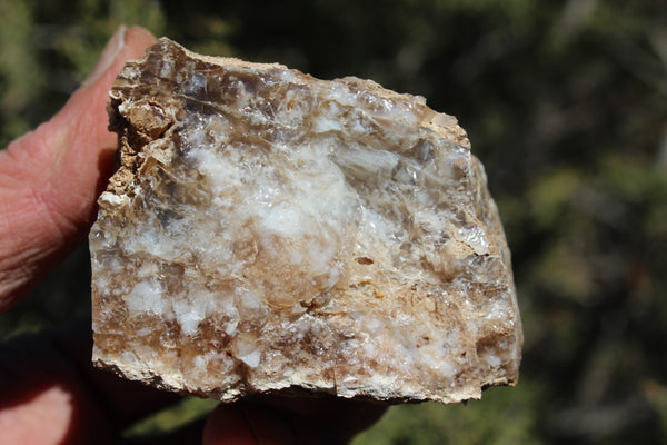 Fund Raiser - MINERAL - BEAUTIFUL - Rare Locality - ARIZONA OPAL - Stunning Specimen #10 - Keep A Piece Of Opal Near Your Bed and Experience Amazing Dreams and Healing!