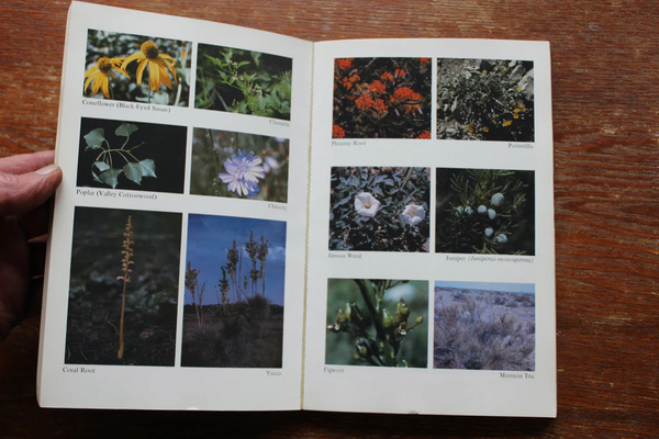 FUND RAISER - Medicinal Plants of the Mountain West by Michael Moore, SIGNED FIRST EDITION