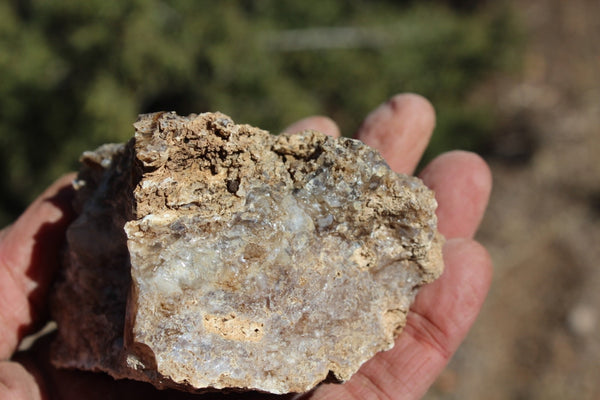 Fund Raiser - MINERAL - BEAUTIFUL - Rare Locality - ARIZONA OPAL - Stunning Specimen #8 - Keep A Piece Of Opal Near Your Bed and Experience Amazing Dreams and Healing!