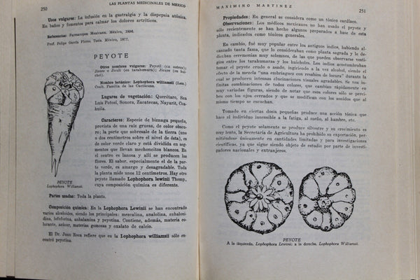 Ethnobotany Las Plantas Medicinales de Mexico Martinez RARE An Excellent Work On Medicine Plants!