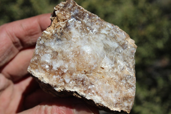 Fund Raiser - MINERAL - BEAUTIFUL - Rare Locality - ARIZONA OPAL - Stunning Specimen #10 - Keep A Piece Of Opal Near Your Bed and Experience Amazing Dreams and Healing!