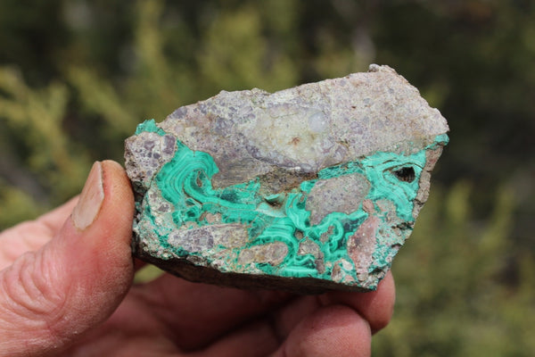 Fund Raiser - MINERAL Lovely MALACHITE Specimen From Santa Rita Mine, New Mexico