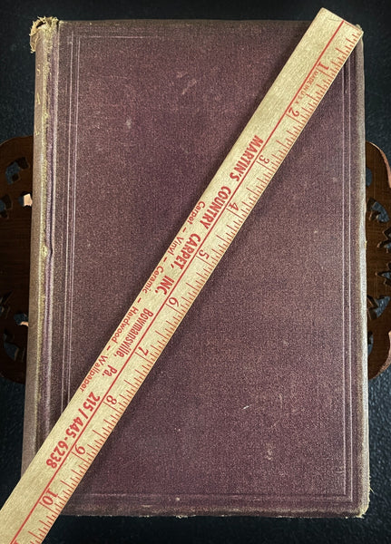 1876 Materia Medica, Biddle, Medicinal Plants, Poison Antidotes, etc. - Very Good Condition of Scarce Work
