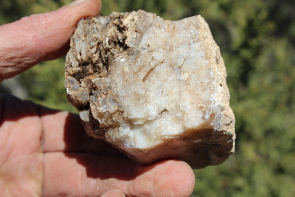 Fund Raiser - MINERAL - BEAUTIFUL - Rare Locality - ARIZONA OPAL - Stunning Specimen #7