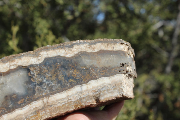Fund Raiser - BEAUTIFUL - MINERAL - LUNA AGATE - Catron County, New Mexico -