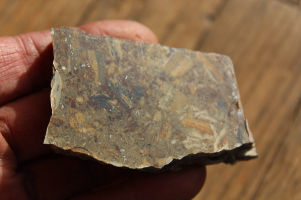FUND RAISER - MINERAL NATIVE SILVER Very Rare Locality New Mexico 84 gram Specimen