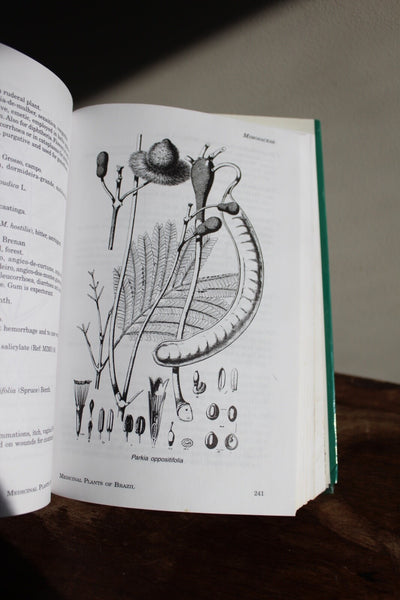 Ethnobotany MEDICINAL PLANTS OF BRASIL By More,Rizzini, Pereira -