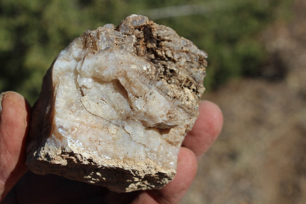 Fund Raiser - MINERAL - BEAUTIFUL - Rare Locality - ARIZONA OPAL - Stunning Specimen #7