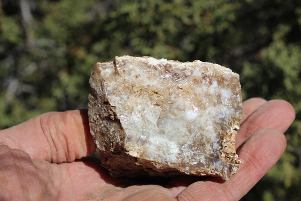 Fund Raiser - MINERAL - BEAUTIFUL - Rare Locality - ARIZONA OPAL - Stunning Specimen #10 - Keep A Piece Of Opal Near Your Bed and Experience Amazing Dreams and Healing!