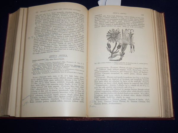 1917 MATERIA MEDICA AND PHARMACOLOGY BOOK MANUAL 6TH EDN - CULBRETH   Hardcover - EXCELLENT REFERENCE