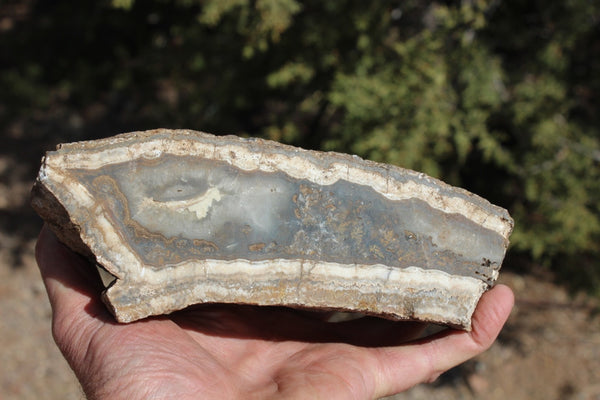 Fund Raiser - BEAUTIFUL - MINERAL - LUNA AGATE - Catron County, New Mexico -