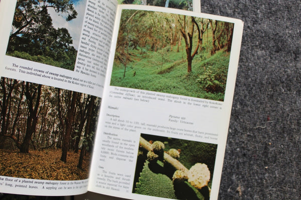 Ethnobotany Herbal Medicine Nature Health - 4 Book Lot For One Great Price #11