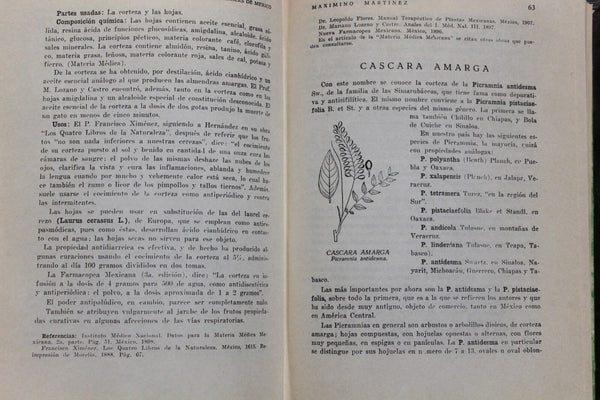 Ethnobotany Las Plantas Medicinales de Mexico Martinez RARE An Excellent Work On Medicine Plants!