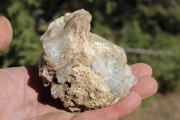 Fund Raiser - MINERAL - BEAUTIFUL - Rare Locality - ARIZONA OPAL - Stunning Specimen #7
