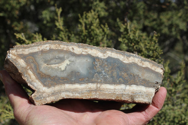 Fund Raiser - BEAUTIFUL - MINERAL - LUNA AGATE - Catron County, New Mexico -