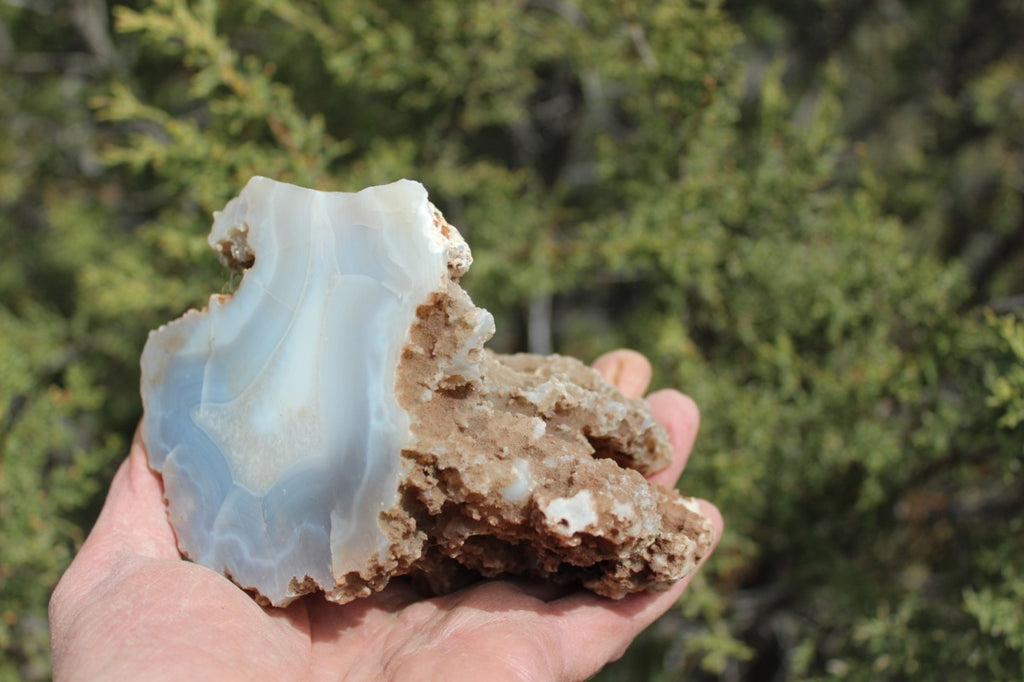 Fund Raiser - BEAUTIFUL - MINERAL - LUNA AGATE - Catron County, New Mexico -