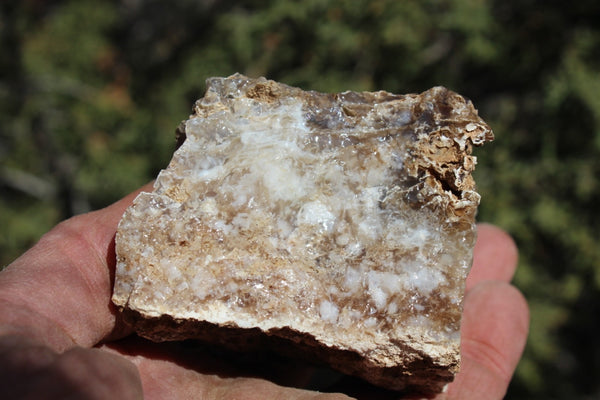 Fund Raiser - MINERAL - BEAUTIFUL - Rare Locality - ARIZONA OPAL - Stunning Specimen #8 - Keep A Piece Of Opal Near Your Bed and Experience Amazing Dreams and Healing!