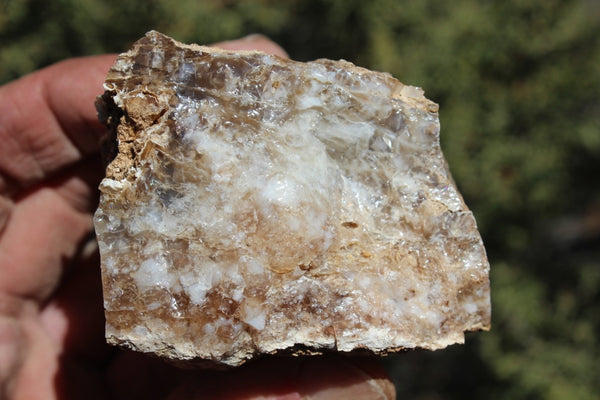 Fund Raiser - MINERAL - BEAUTIFUL - Rare Locality - ARIZONA OPAL - Stunning Specimen #10 - Keep A Piece Of Opal Near Your Bed and Experience Amazing Dreams and Healing!