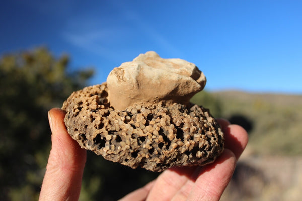 ROCK CLUB MEMBERSHIP -- Every 3 Months Receive a Shipment  of Unique Specimens! SUPERB PIECES - Fossils, Agates, Azurite, Opal, Silver Ore, and MUCH MORE
