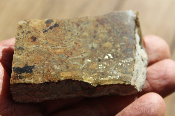 FUND RAISER - MINERAL NATIVE SILVER Very Rare Locality New Mexico 68 gram Specimen - Please No Discount Codes On This Listing!