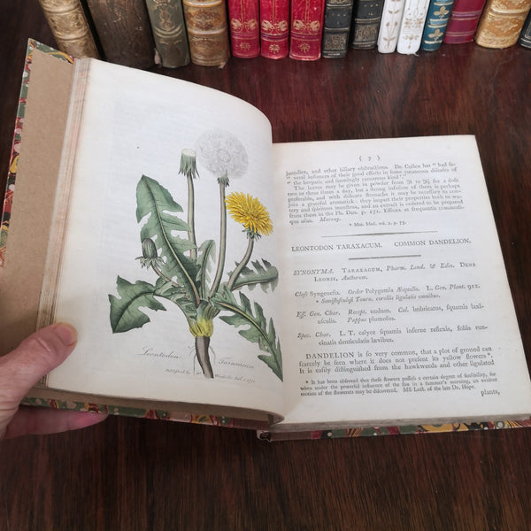 RARE & IMPORTANT WORK - William Woodville 1790 1st Edition - MEDICAL BOTANY - w/274 RARE Hand Colored Engraved Plates! 4 Volumes  FINE & Outstanding!