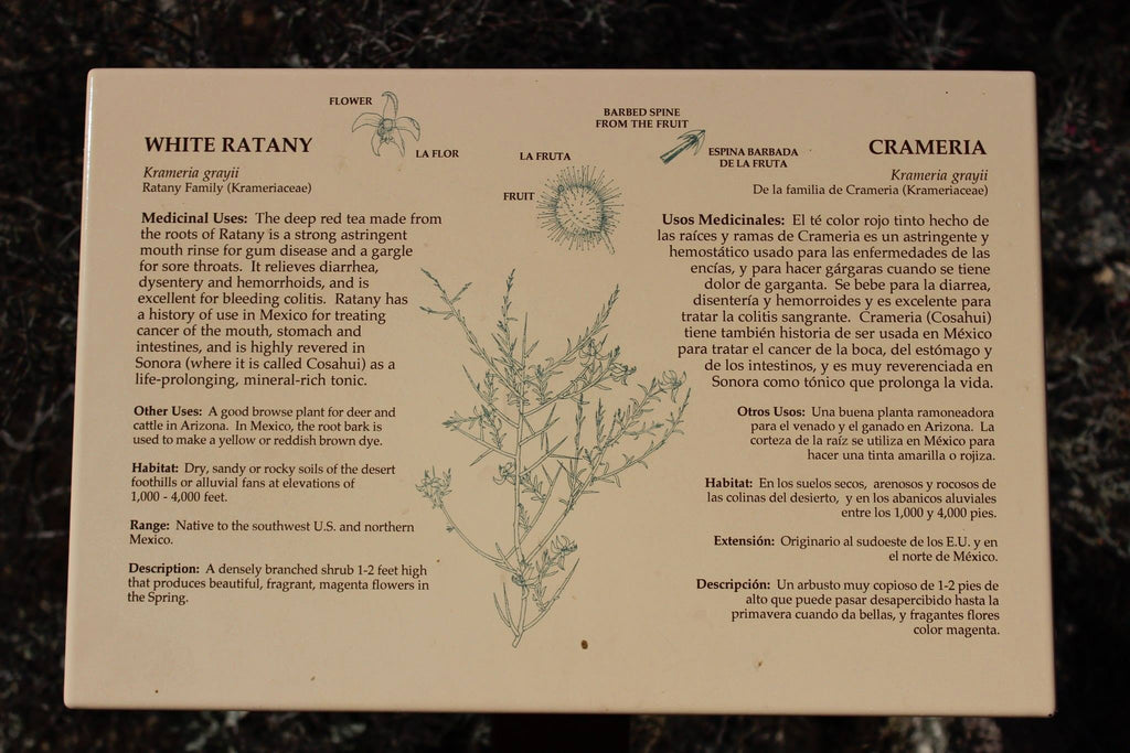 RATANY (White Ratany) Krameria grayi or parviflora - Fresh Root Extrac ...