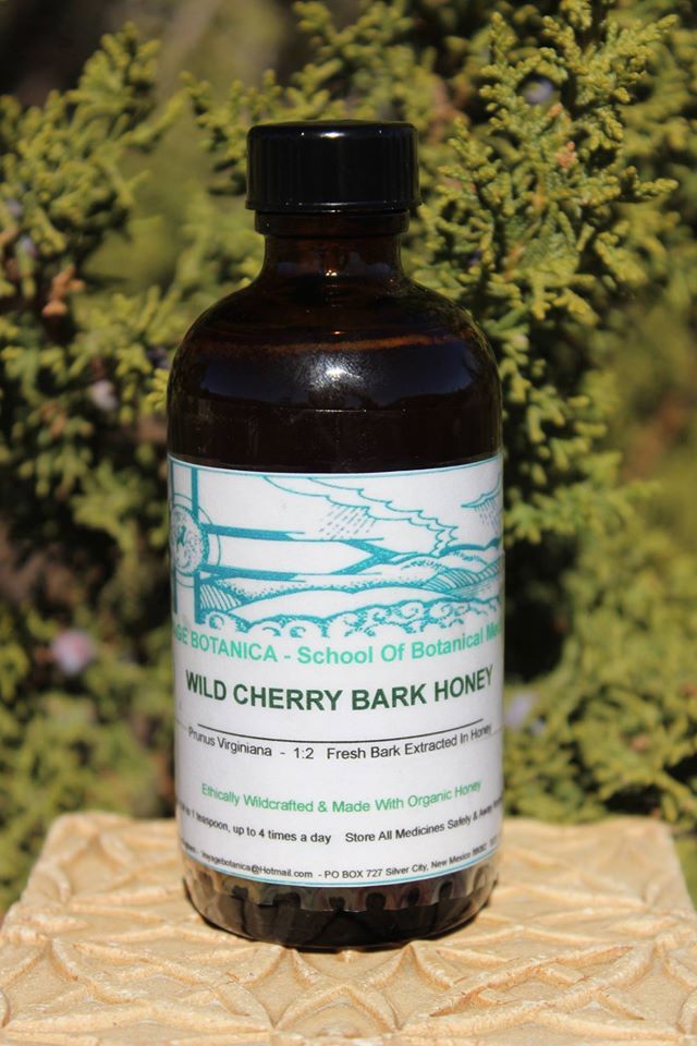 WILD CHERRY BARK HONEY (Made From Fresh Bark steeped in Organic Honey!) 4 Ounce -  READY TO SHIP AFTER MAY 15th. 2023