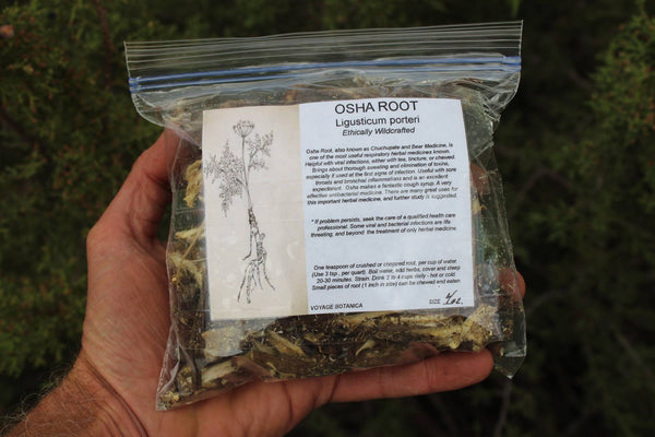 OSHA ROOT - Ligusticum porteri - 4 Ounces Dry Root -  Order NOW and Save!   - Next batch ships after Aug. 1st, 2024