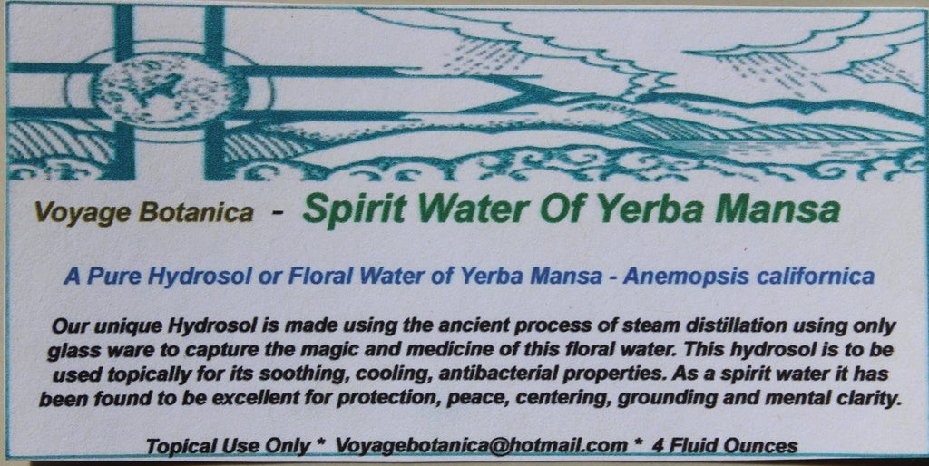 SPIRIT WATER OF YERBA MANSA - Pure Hydrosol of Yerba Mansa - Anemopsis californica - 4 Ounce Size