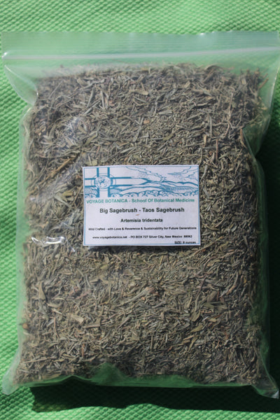 Big Sagebrush or Taos Sagebrush - Artemisia tridentata - 8 Ounces