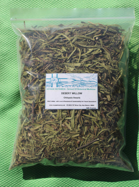 Desert Willow - Chilopsis linearis - 8 Ounces (Dry) -