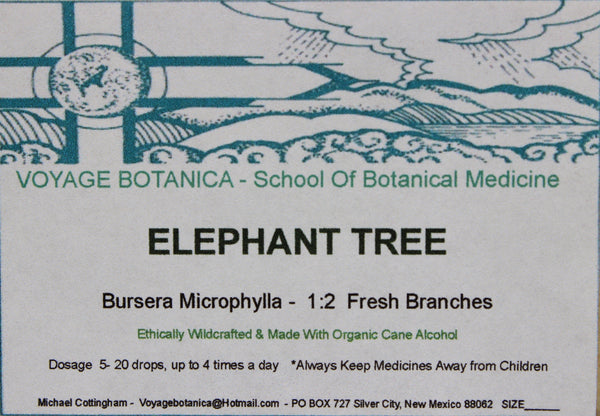 ELEPHANT TREE EXTRACT  (Bursera microphylla) -   2 ounce size