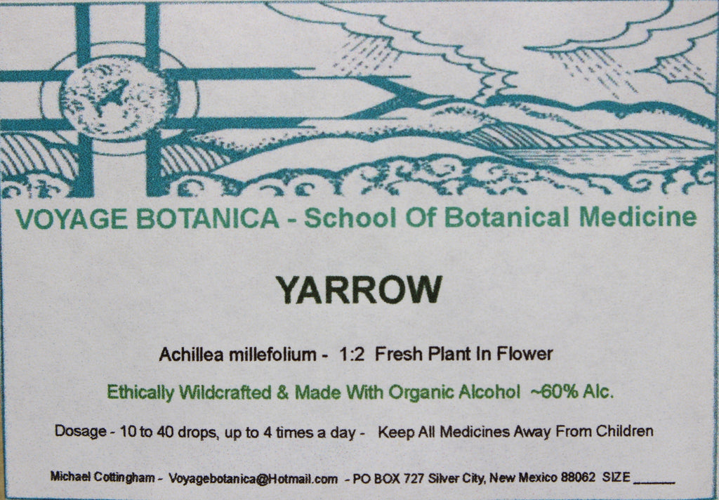 YARROW EXTRACT - Achillea millefolium -  4 ounce size