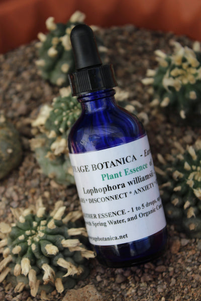 Flower/Plant Essences - Earth Vibrations of (Lophophora williamsii) - For   Fears * Disconnect * Anxiety * Courage * Heart  - 2 Ounce Size of MOTHER ESSENCE